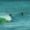 Catch a Wave