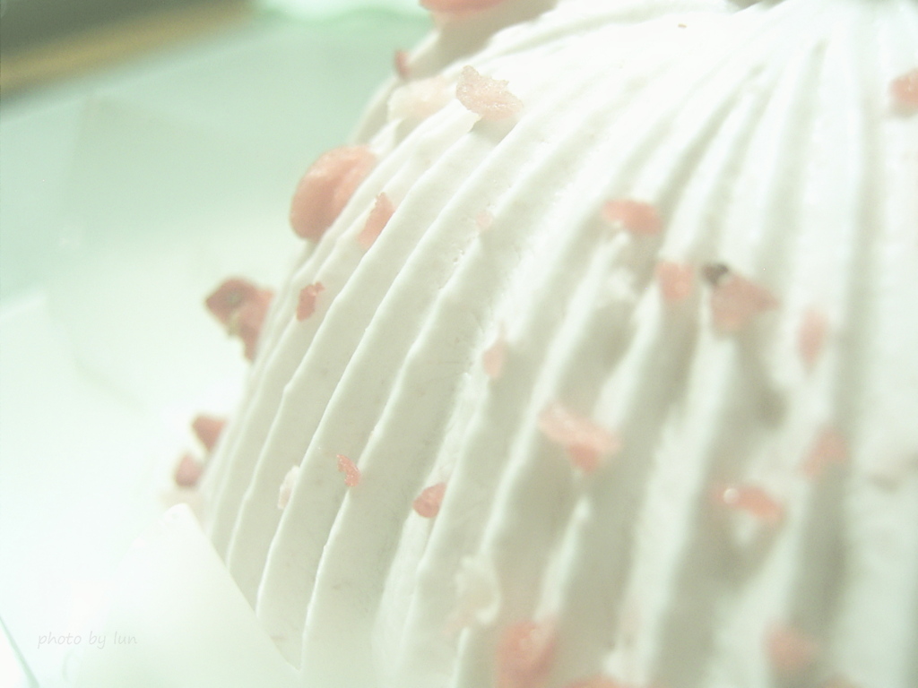 ケーキはいつも