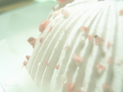 ケーキはいつも