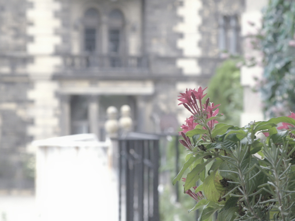 Pentas