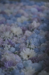 花花