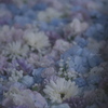花花