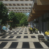 横断歩道みたいな影