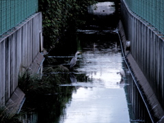 水路にて