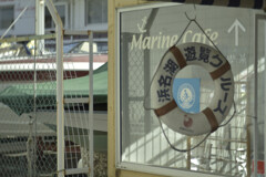 Cruise