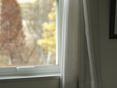 内にいようかな