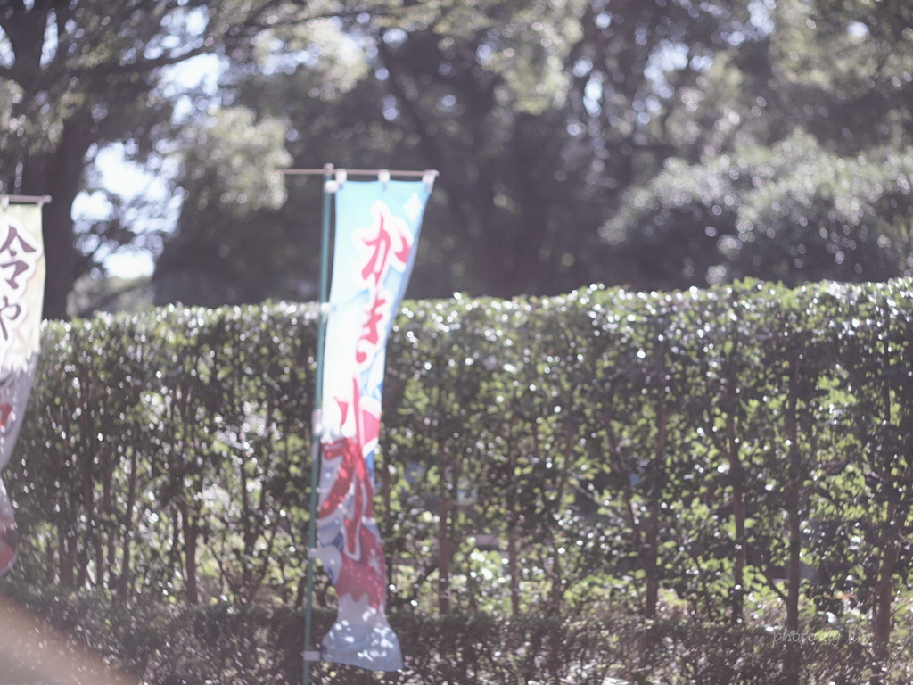 夏はおわらない
