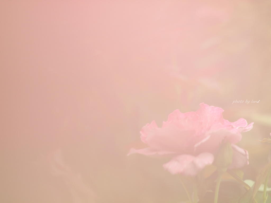 for you
