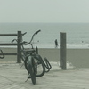 Beach Cruiser
