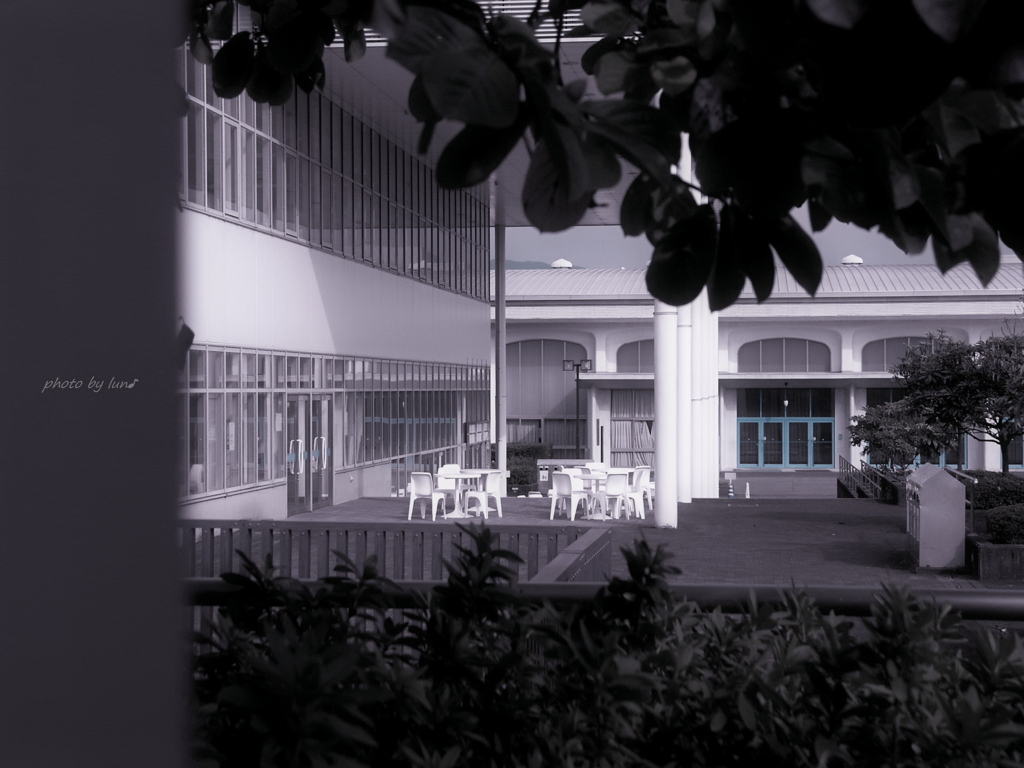 中庭キャンパス