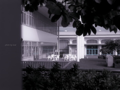 中庭キャンパス