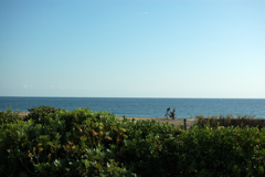 サーフィンパパ