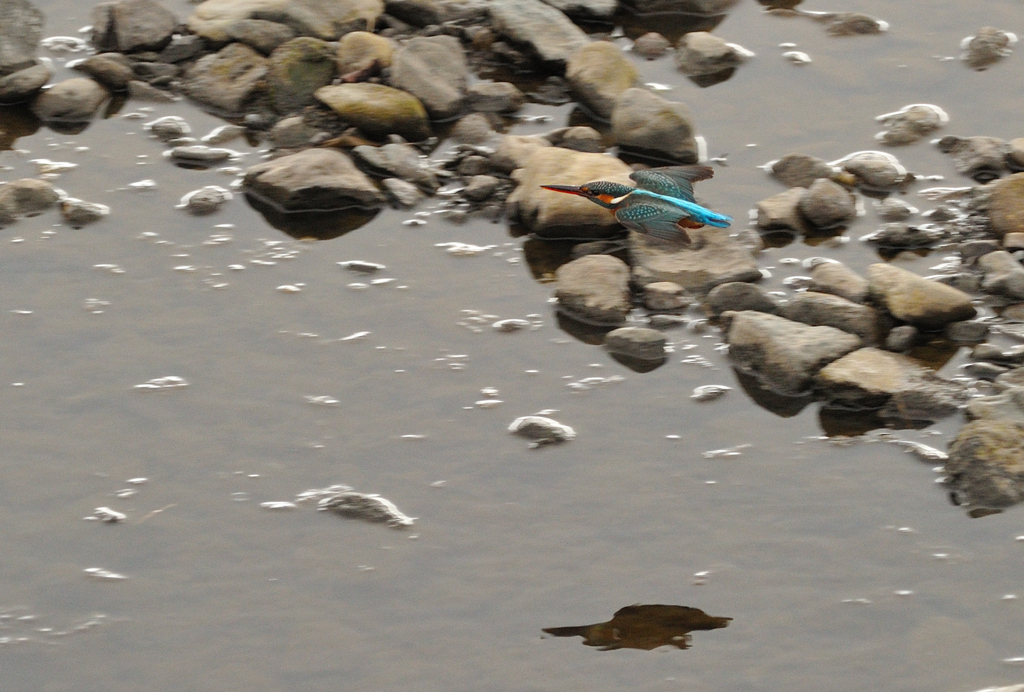 私のそばにとまって～