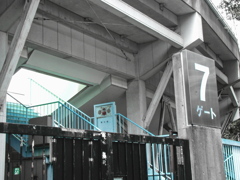 7th gate