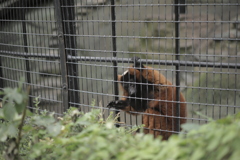触ってみたいのさ