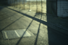 fence