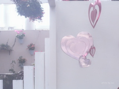 FLOWER VALENTINE