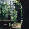 FH010008