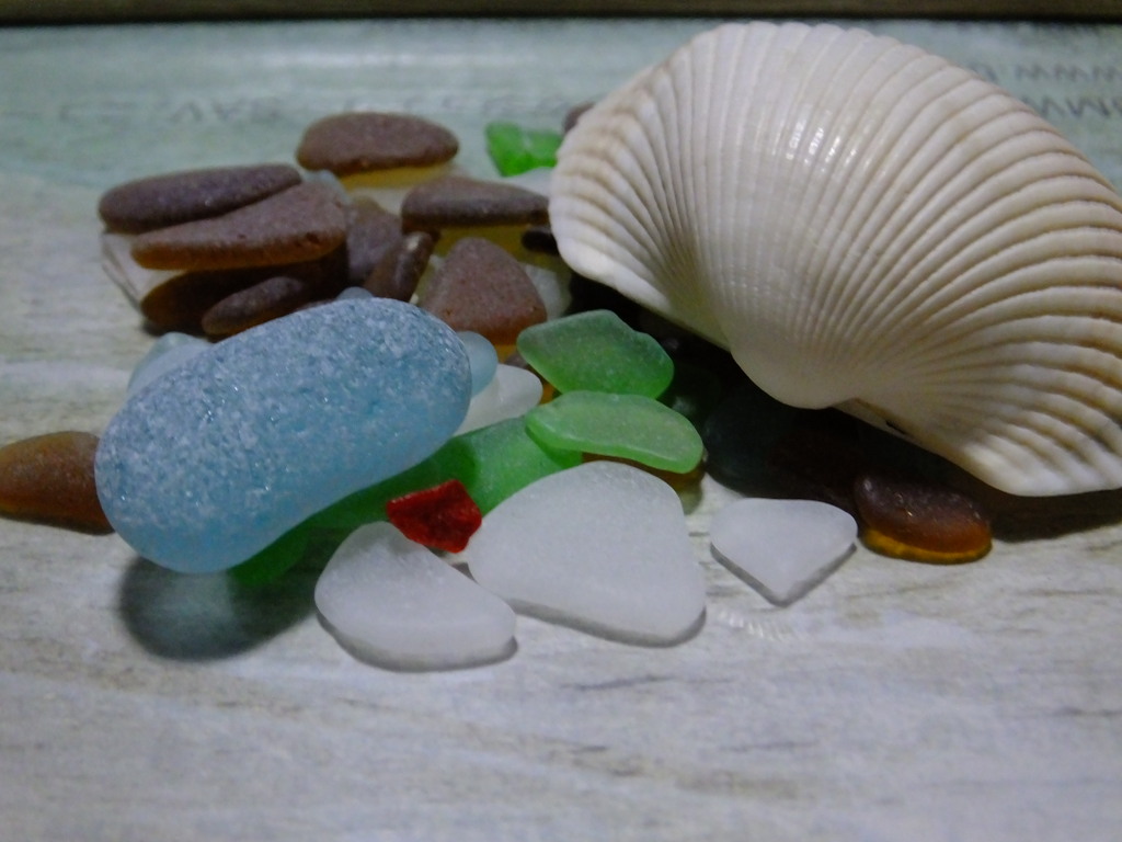 海で拾った宝石