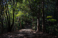 高尾山2