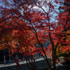 高尾山1