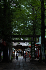 初夏の神社