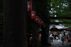 木陰の参道