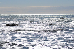 地元の海の海岸6