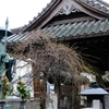 川越　川崎大師