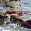地元の海の海岸2