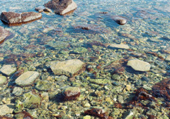海の色