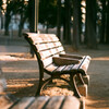 冬の早朝の公園
