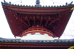 雨の喜多院