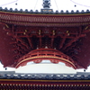 雨の喜多院