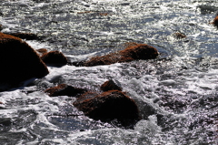 地元の海の海岸8