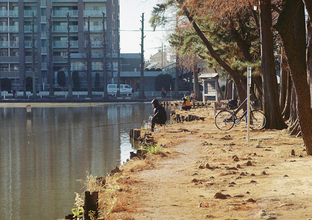 休日の公園
