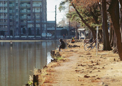 休日の公園