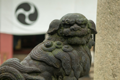 素盞雄神社の狛犬