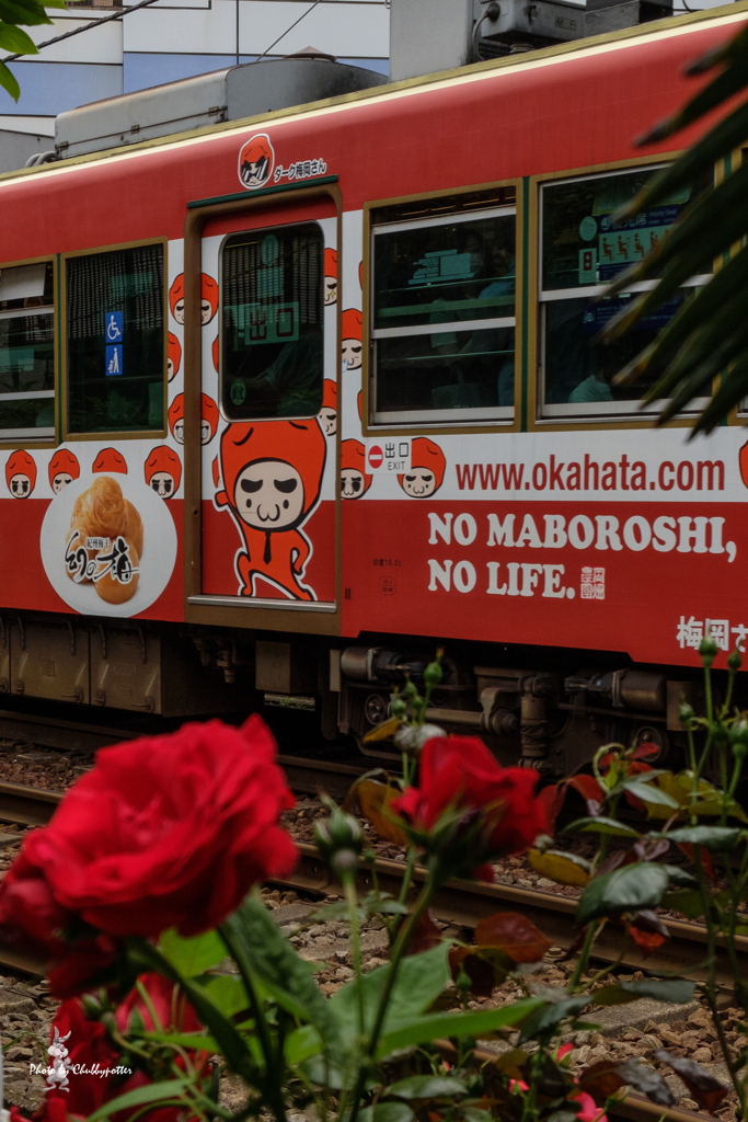 Tokyo Sakura Tram 1