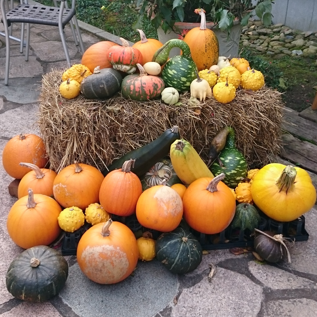 まもなく・・ハロウイン