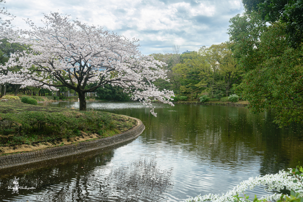 北の丸公園