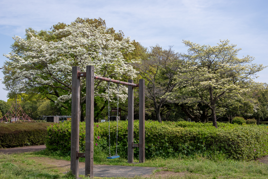 学校が始まった。