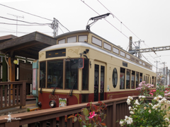 Tokyo Sakura Tram 2