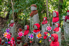 彼岸花を見に宝蔵院へ