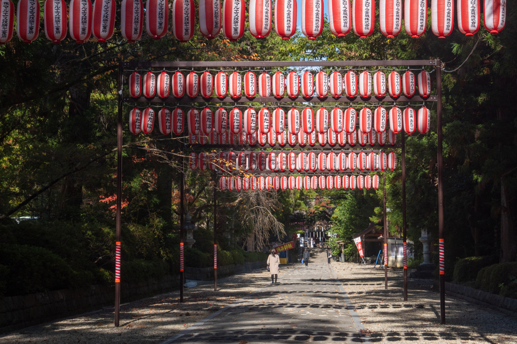 大崎八幡宮参道