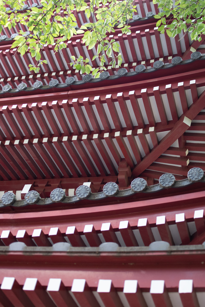 本土寺の五重塔