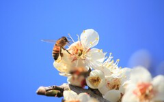 IMG_0327
