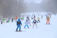 IMG_2394