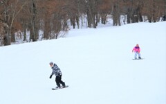 IMG_2334