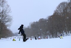 IMG_2358
